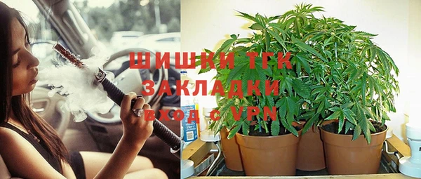 прущие крисы Балахна