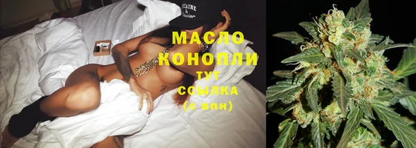 индика Арсеньев