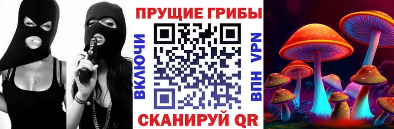 Псилоцибиновые грибы ЛСД  сколько стоит  Опочка 